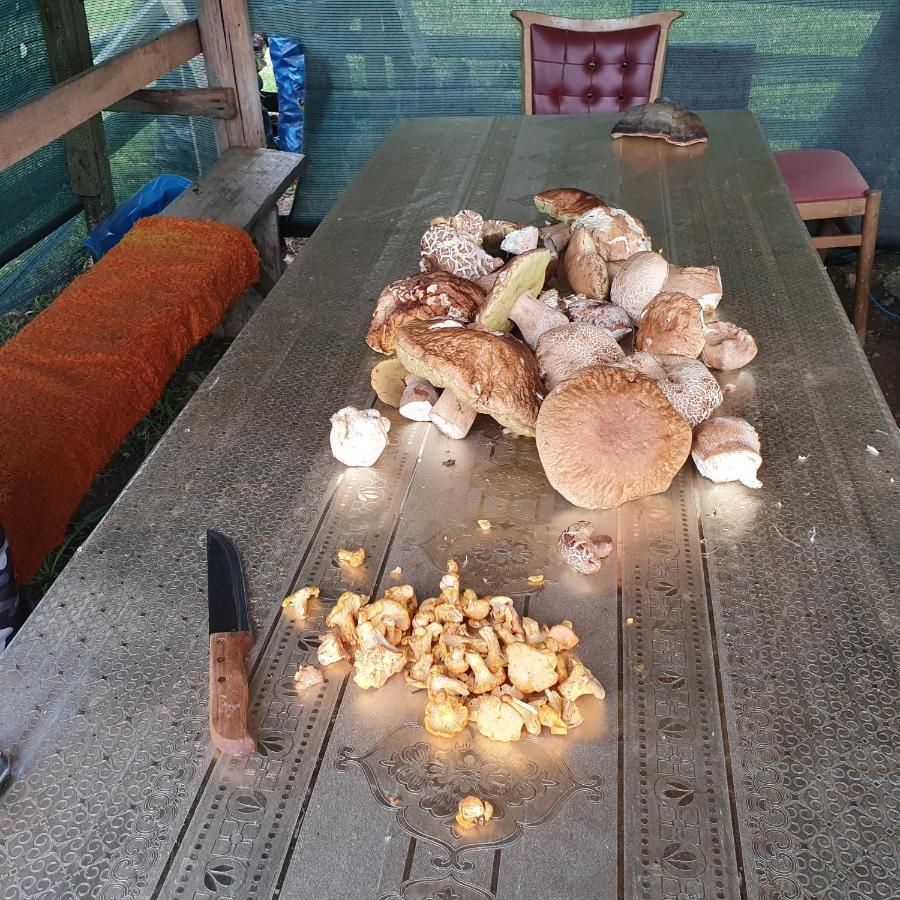 Planinska Koliba Ajdanovici Jelovac Nisicka Visoravan Olovo  Extérieur photo