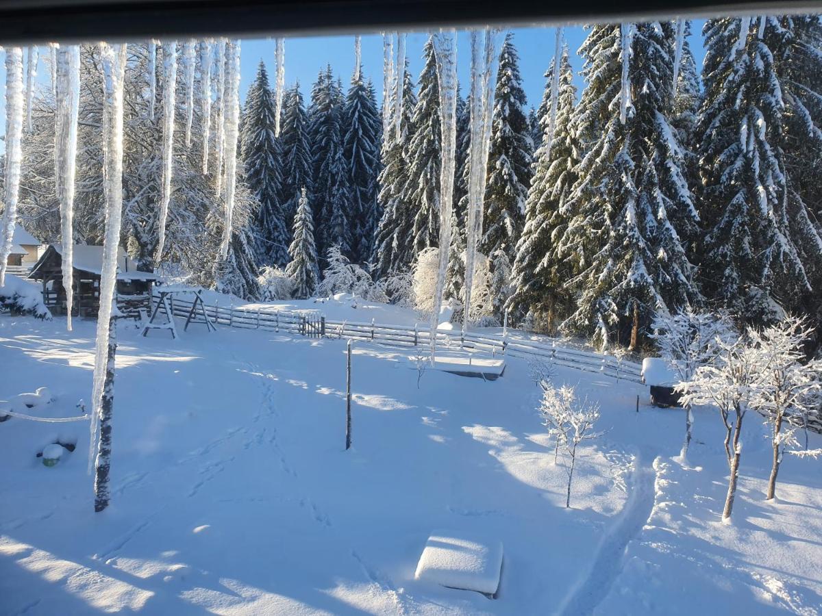 Planinska Koliba Ajdanovici Jelovac Nisicka Visoravan Olovo  Extérieur photo