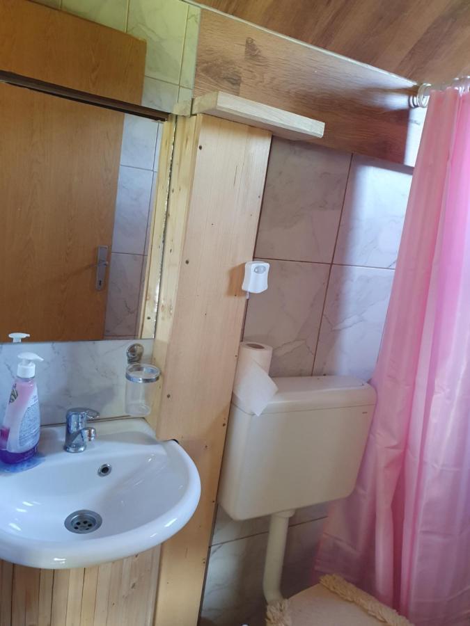 Planinska Koliba Ajdanovici Jelovac Nisicka Visoravan Olovo  Extérieur photo