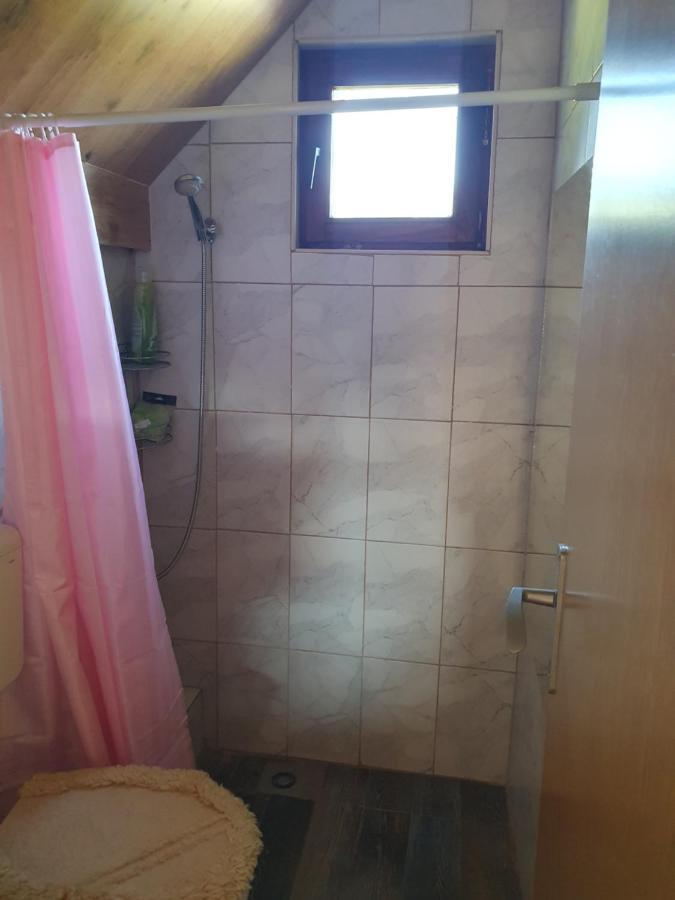 Planinska Koliba Ajdanovici Jelovac Nisicka Visoravan Olovo  Extérieur photo